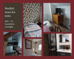 Seul sous les toits de Dijon